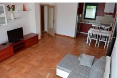 Apartmaji Tara Apartma 1 – Apartman 1 foto 4