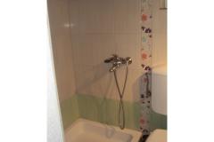 Apartmaji Tatjana Apartma 3 – Studio foto 4