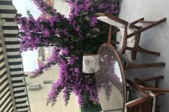 Apartmaji Sara Baška Voda Apartma 1 – A5 foto 2