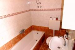 Villa Borovina Apartma 2 – A2+2 foto 4