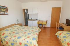 Vila Tonka Apartma 1 – Studio foto 5