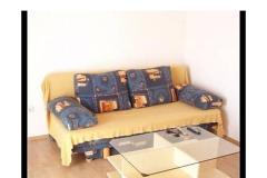 Apartmaji Drago Apartma 1 – A2 foto 4