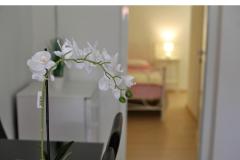 Apartmaji Karin Apartma 3 – A-3 foto 4