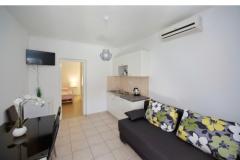 Apartmaji Karin Apartma 3 – A-3 foto 5
