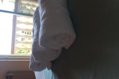 Apartmaji Meri Apartma 2 – A 6+1 foto 5