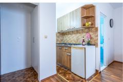 Apartmaji Vinko Apartma 3: (2+0) – Studio ap3 foto 5