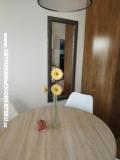 Počitniški dom Roema Apartma 2 – A studio foto 3