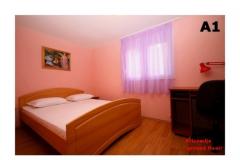 Apartmaji Alena Apartma 1 – ALENA 1 foto 2
