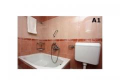 Apartmaji Alena Apartma 1 – ALENA 1 foto 3