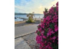 Apartma Mare - prvi red uz more Apartma 1 – Mare foto 3