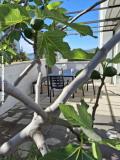 Villa D&amp;J Apartma 3 – D&J3 foto 2