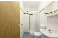 Apartmaji Golubić Apartma 1 – AP1 foto 5
