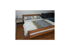Apartmaji Niko Apartma 3 foto 3