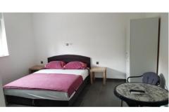 Apartmaji STAR Apartma 2 – ap8 foto 2