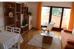 Apartmaji Mimoza Apartma 2 – App 2+2 foto 2