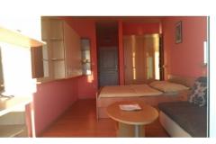 Apartmaji Kocak Apartma 1 – Studio foto 1