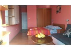 Apartmaji Kocak Apartma 1 – Studio foto 5