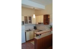 Apartmaji Ana Apartma 1 – A2 foto 4