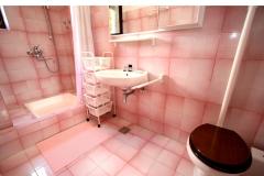 Apartmaji Grma Apartma 2 – GRMA 3 foto 3