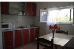 APARTMANI I SOBE,KUCA ZA ODMOR Apartma 1 – VILA SONJA foto 2
