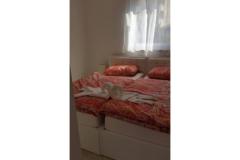 Apartmaji La Perla Apartma 4 – La Perla 4 foto 4