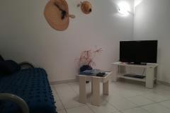 Apartmaji Vladislavic Apartma 2 – App 4 P foto 3