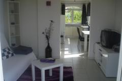 Apartmaji Vladislavic Apartma 1 – App 2 foto 2