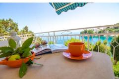 Villa PINA - Selca Apartma 1 – Panorama foto 1