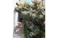 Apartmaji A &amp; N Bekavac . Apartma 4 – A2+2 foto 5