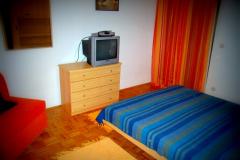 Apartmaji Miva Apartma 2 – A2+2 foto 4