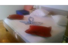 Villa Nikola Apartma 1 – Rina foto 5
