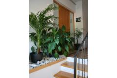Apartmaji Katarina Apartma 1 – Ap1 foto 1