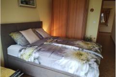 Apartmaji DOMINO Apartma 2 – A2 foto 4