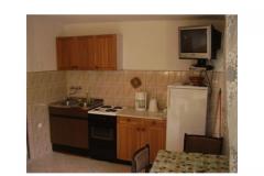 Apartmaji Olga Apartma 1 – APP-1 foto 2