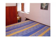Apartmaji Olga Apartma 2 – APP-2 foto 4