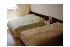 Apartmaji Olga Apartma 4 – APP-4 foto 2