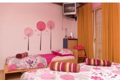 Apartmaji Colosseum Apartma 1 – KATARINA foto 2
