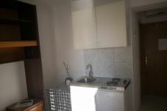 Apartmaji Alač Apartma 1 – Studio 1 foto 3