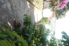 Apartmaji Diana Apartma 1 – Apartman 1 foto 5