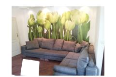 Apartma Estera Apartma 1 foto 1