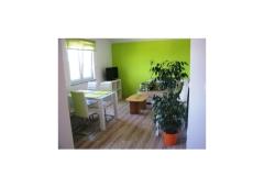 AS Apartmaji Apartma 2 – Pistachio foto 1