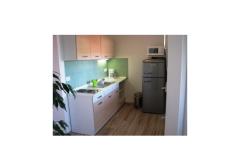 AS Apartmaji Apartma 2 – Pistachio foto 4