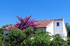 Počitniški dom - Apartma Milka Apartma 1 – Kuća foto 2