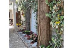 Apartmaji Ela Apartma 2 – A1 foto 4