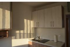 Apartmaji Sincek Apartma 3 – Studio foto 3
