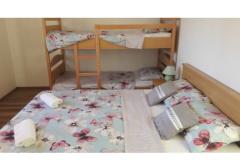 Apartmaji Julia Apartma 2 – A2 foto 4