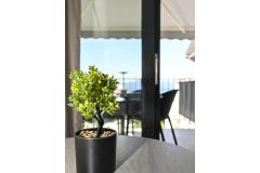 Apartmaji AnitaS Apartma 1 – A1 foto 5