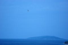 Apartmaji Ivana  Apartma 2 – Studio A foto 1