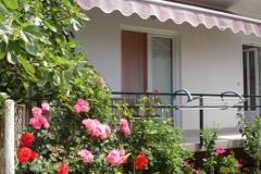 Apartmaji Lasic Apartma 2 – Lavanda foto 2