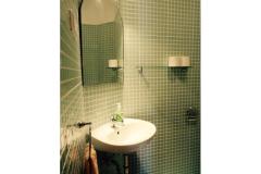 Apartmaji Belić  Apartma 3 – Zeleni foto 4